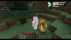 骇客生存最新爆料视频,揭秘顶级黑客的生存法则与实战技巧 第1张 骇客生存最新爆料视频,揭秘顶级黑客的生存法则与实战技巧 第1张